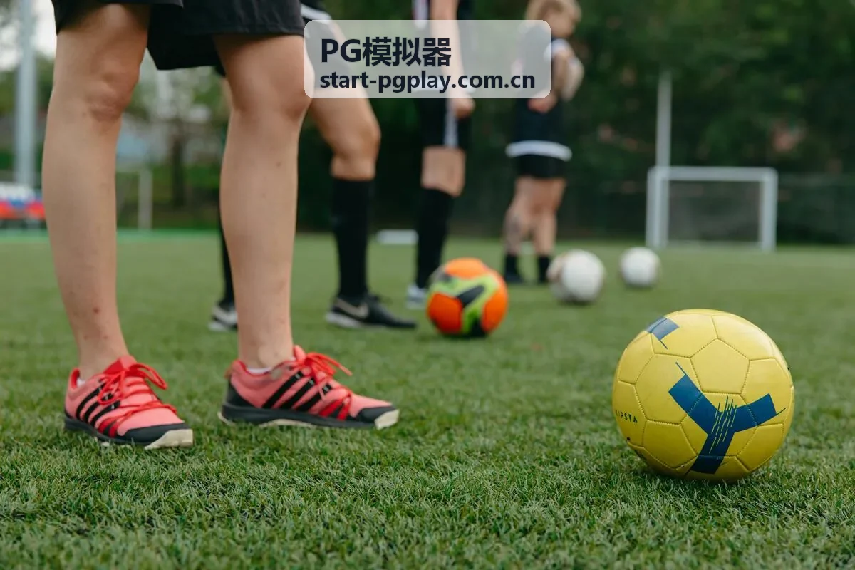 PG模拟器环境变量配置界面展示